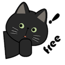 黑猫国内机场